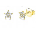 Gold-plated earrings STAR with zircons