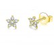 Gold-plated earrings STAR-1