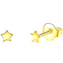 Gold-plated earrings STAR