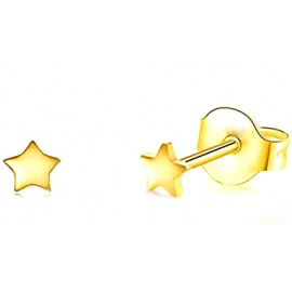 Gold-plated earrings STAR