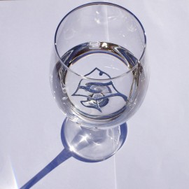 For making silver water - Silver fish