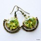 Brass earrings ŽA341-3