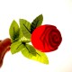 Gift Box "Rose"-2