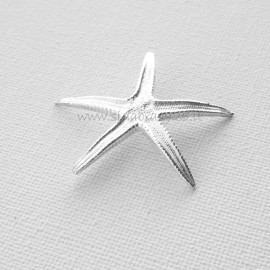 Silver star 999.9˚alloy