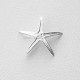 Silver star 999.9˚alloy-2
