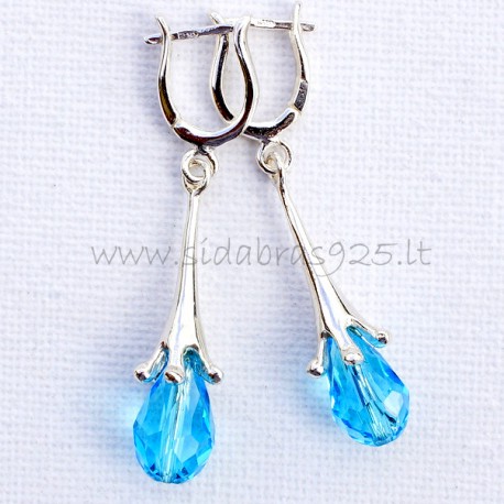 Earrings with Swarovskiu "AD"