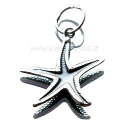 Pendant "Star" P645