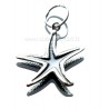 Pendant "Star" P645