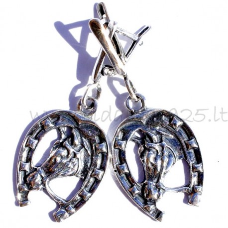 Earrings A589