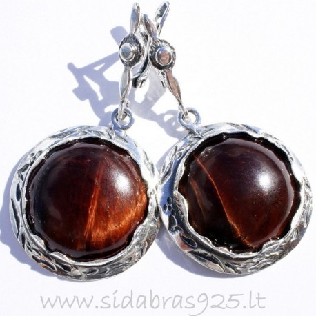 Earrings with Taurus Stone A543