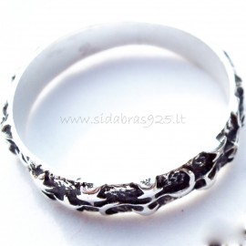 Ring with moons and stars Ž123