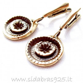 Brass earrings ŽA565