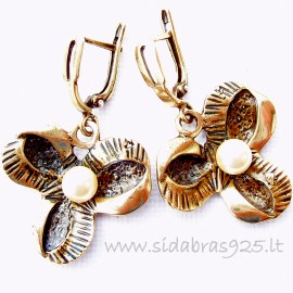 Brass earrings ŽA527
