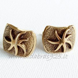 Brass earrings ŽA204