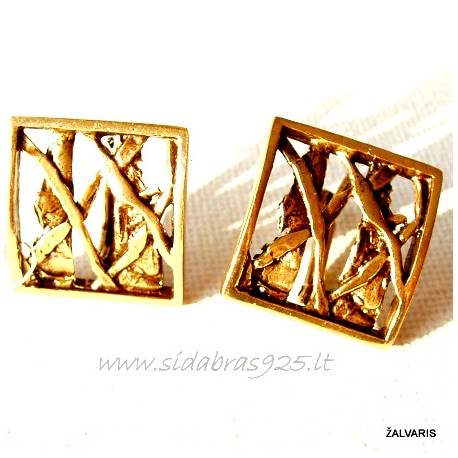 Brass earrings ŽA070