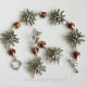 Earringswith natural coral A569-5
