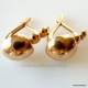 Bronze earrings "BS"-2