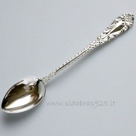 Spoon BIG ŠD2