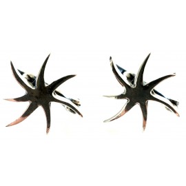 Earrings with English clasp "Star" A095
