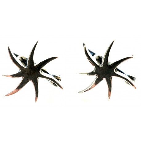 Earrings with English clasp "Star" A095