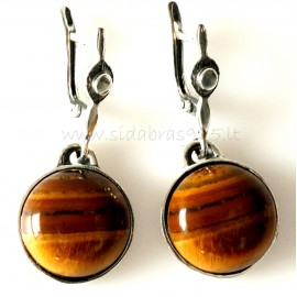 Earrings decorated with Tiger stone