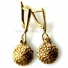 Brass earrings ŽA "Žalioji moneta"