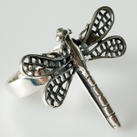 Ring Dragonfly