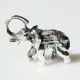 Silver Elephant-2