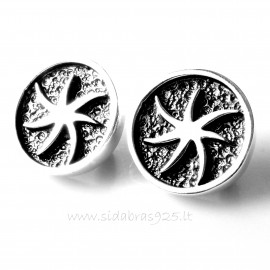 Earrings with English clasp "Stars in a circle" 